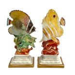 Two Capodimonte porcelain angel fish figures, the tallest 16cmH