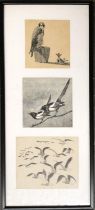 Three framed prints of birds, the largest 12.5x15cm
