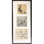 Three framed prints of birds, the largest 12.5x15cm