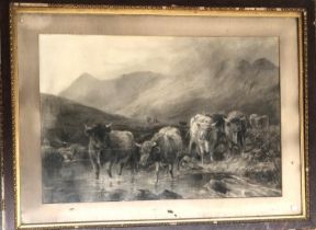 Late 19th century charcoal on paper, highland cattle, signed and dated Sq Howard 1887, 60x90cm