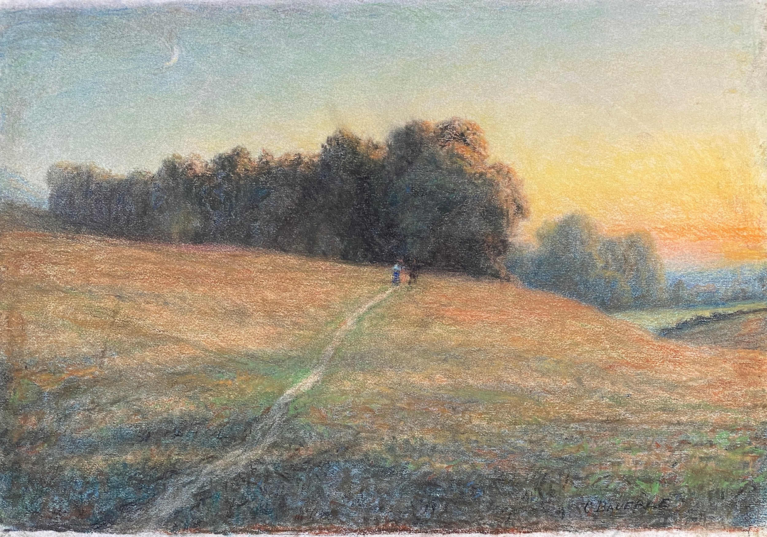 Carl Wilhelm Friedrich Bauerle (German, 1831-1912), a pair of landscapes, pastel on paper laid on - Image 3 of 3