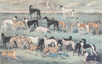 A 19th century hand coloured engraving of racing greyhounds, 'Coursing Cracks No.1, being the