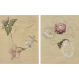 Lindsay M Gladstone (d. 1963), a pair of early 20th century floral studies, gouache on paper, each