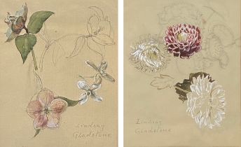 Lindsay M Gladstone (d. 1963), a pair of early 20th century floral studies, gouache on paper, each