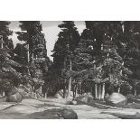 Stow Wengenroth (American 1906-1978), 'Deep Forest', lithograph, signed and numbered ed/60 in