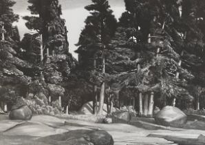 Stow Wengenroth (American 1906-1978), 'Deep Forest', lithograph, signed and numbered ed/60 in