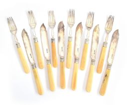 A set of six silver and resin handled fish knives and forks by Martin, Hall & Co (Richard Martin &