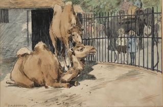 George Denholm Armour (1864-1949), 'Unrest at the Zoo', pen and colour wash of two camels, c.1919,