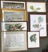 A quantity of botanical and ornithological prints to include wild orchids, magnolia, hummingbirds,