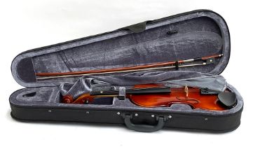 A full sized violin, with bow, in a Stag carry case