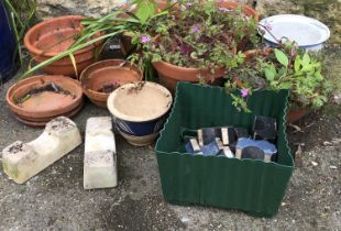 A quantity of small terracotta plant pots, plates, some af, the largest 22.5cmH 25cmD, etc