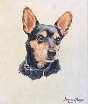 Jemma Phipps (b.1977), oil on canvas study of a miniature pinscher, signed and dated 2002, 30.5x25.