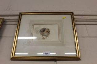 A pencil signed watercolour study "Bantam Chick" by Ian Armour-Chelu