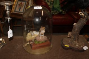 Two cased and preserved mice under glass dome