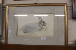 A pencil signed watercolour study "Rabbit Nesting" by Ian Armour-Chelu