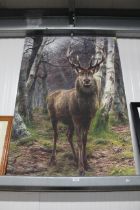 A print on canvas depicting a stag