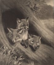 A pair of Victorian prints depicting squirrels and