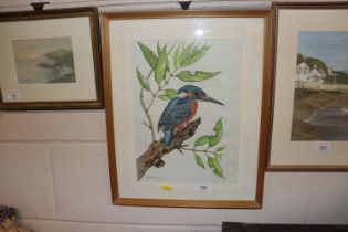 L.E. Hotson, watercolour study of a kingfisher