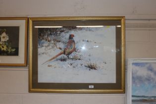 Richard Cook, acrylic "Winter Pheasant"