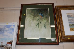 Richard Cook, acrylic study of a kingfisher