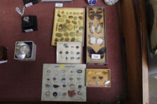 A collection of shells, minerals, butterflies etc.