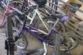 A girls Raleigh Salsa bicycle with 5-speed gears