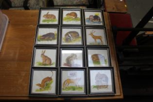 Twelve framed studies of wildlife