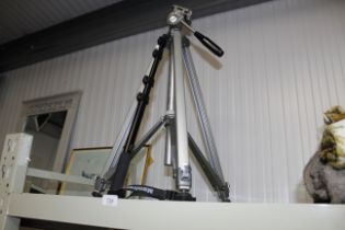 A camera tripod and a monopod