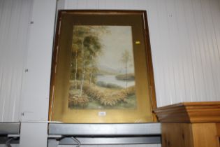 A framed and glazed picture of silver birch trees