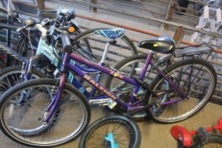 A girls Raleigh Zing bicycle with 2x5 speed gears and rear pannier rack. Currently locked with