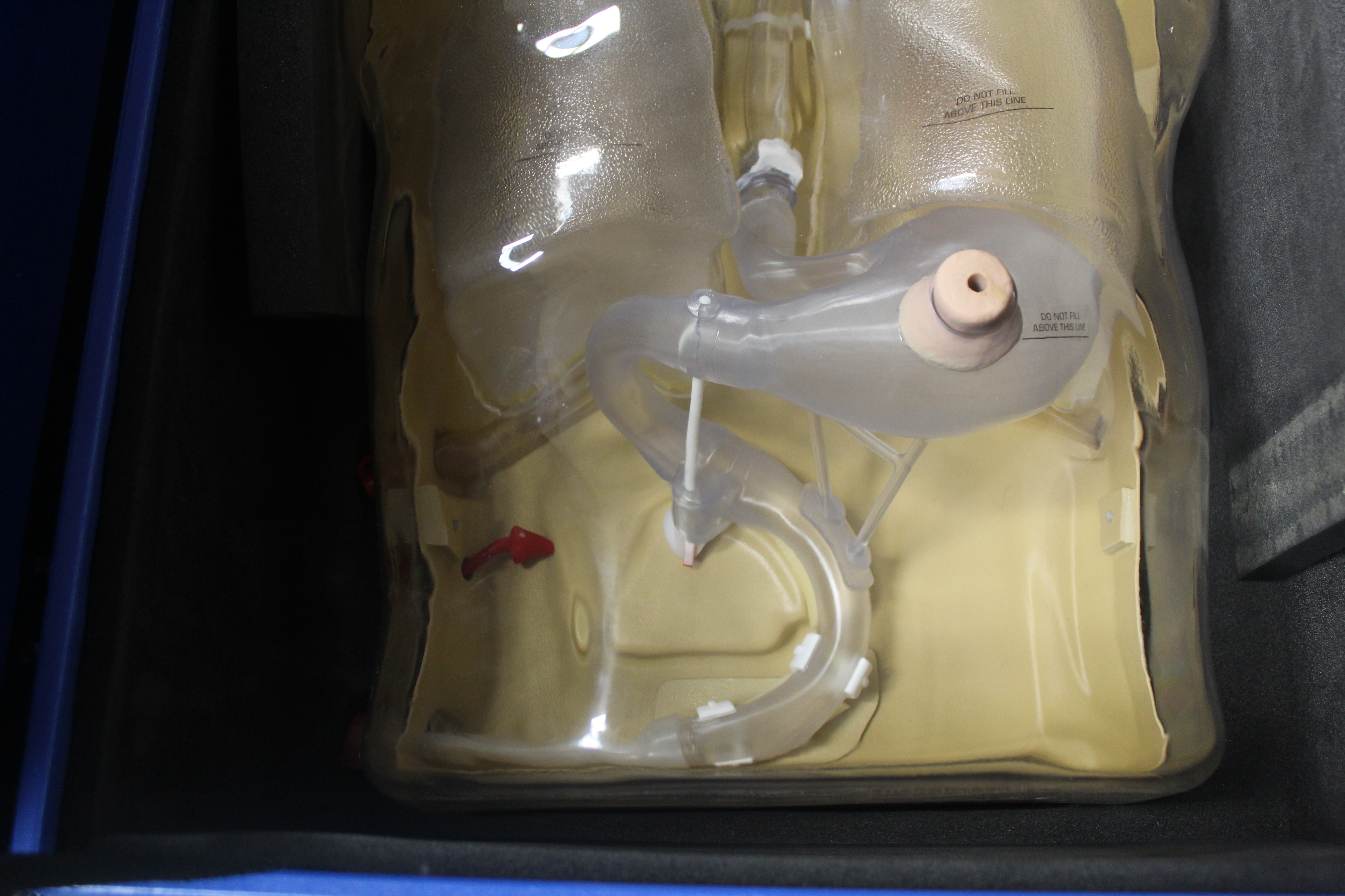 A Corman Naso-Gastric/Nasojejunal feeding simulato - Image 4 of 6