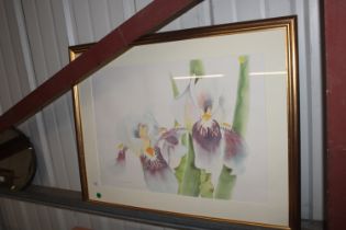 A Veronica Charlesworth large watercolour study depicting an iris