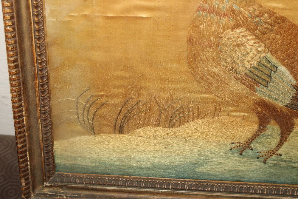A needlework study of a golden pheasant contained - Image 6 of 8