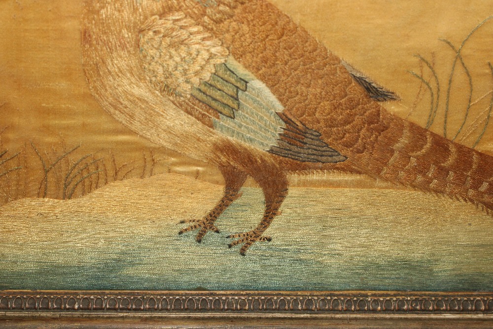 A needlework study of a golden pheasant contained - Image 7 of 8