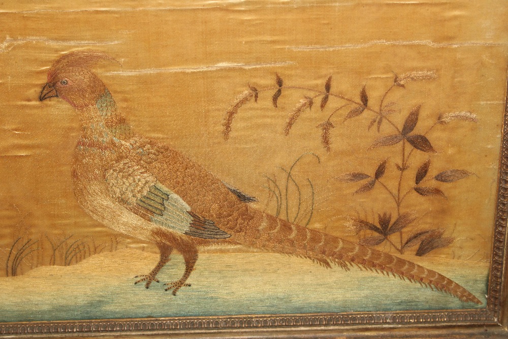 A needlework study of a golden pheasant contained - Image 2 of 8