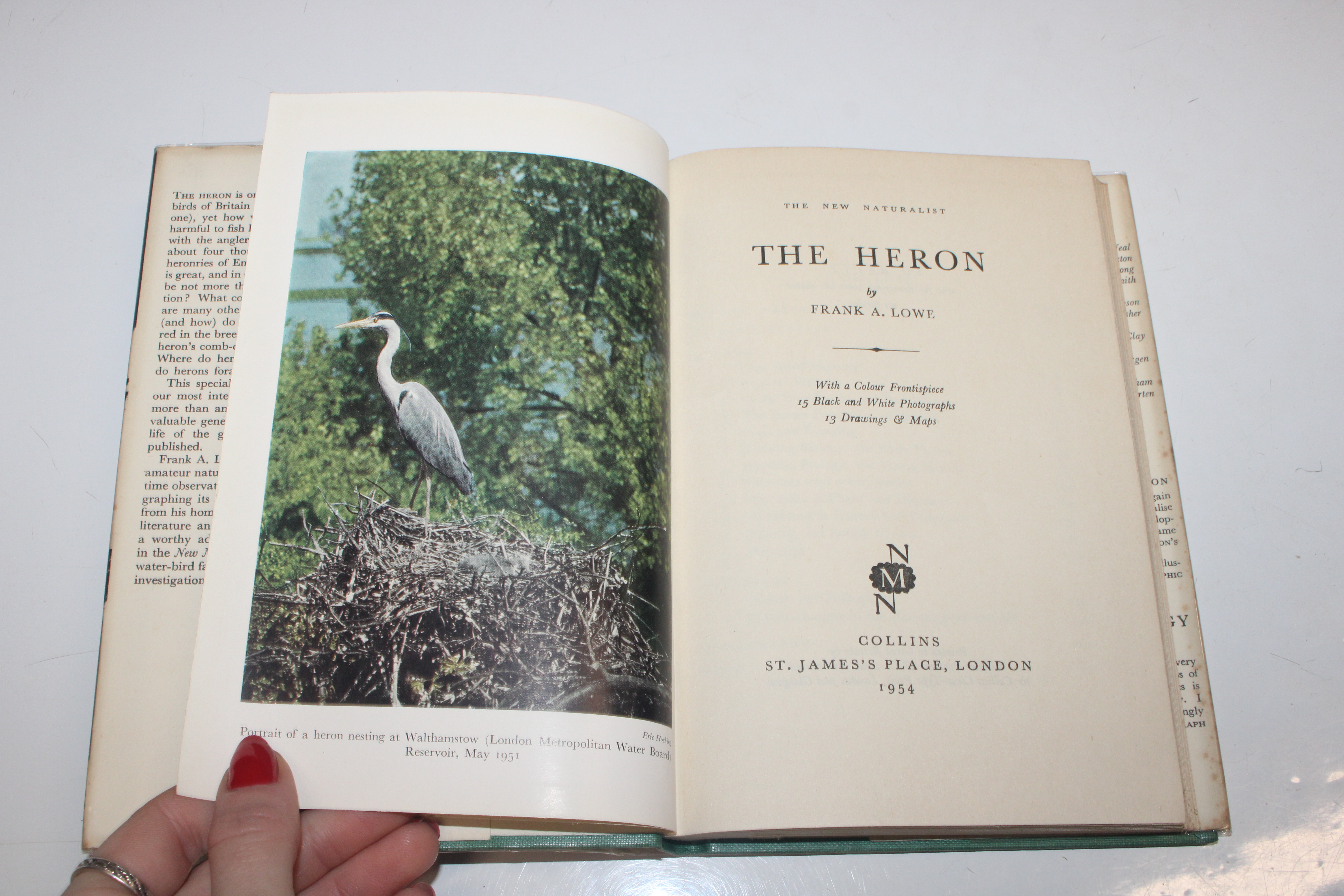 The New Naturalist "The Heron" By Frank A. Lowe, f - Image 5 of 6