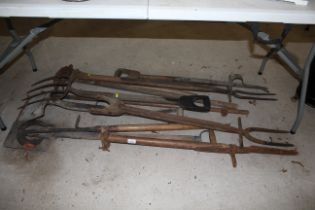 A quantity of long handled tools including lawn ed