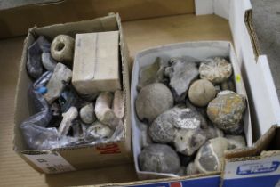 A quantity of fossils and stones