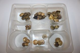 A collection of brass buttons, mainly military rel