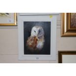 Richard Cook, acrylic depicting a barn owl