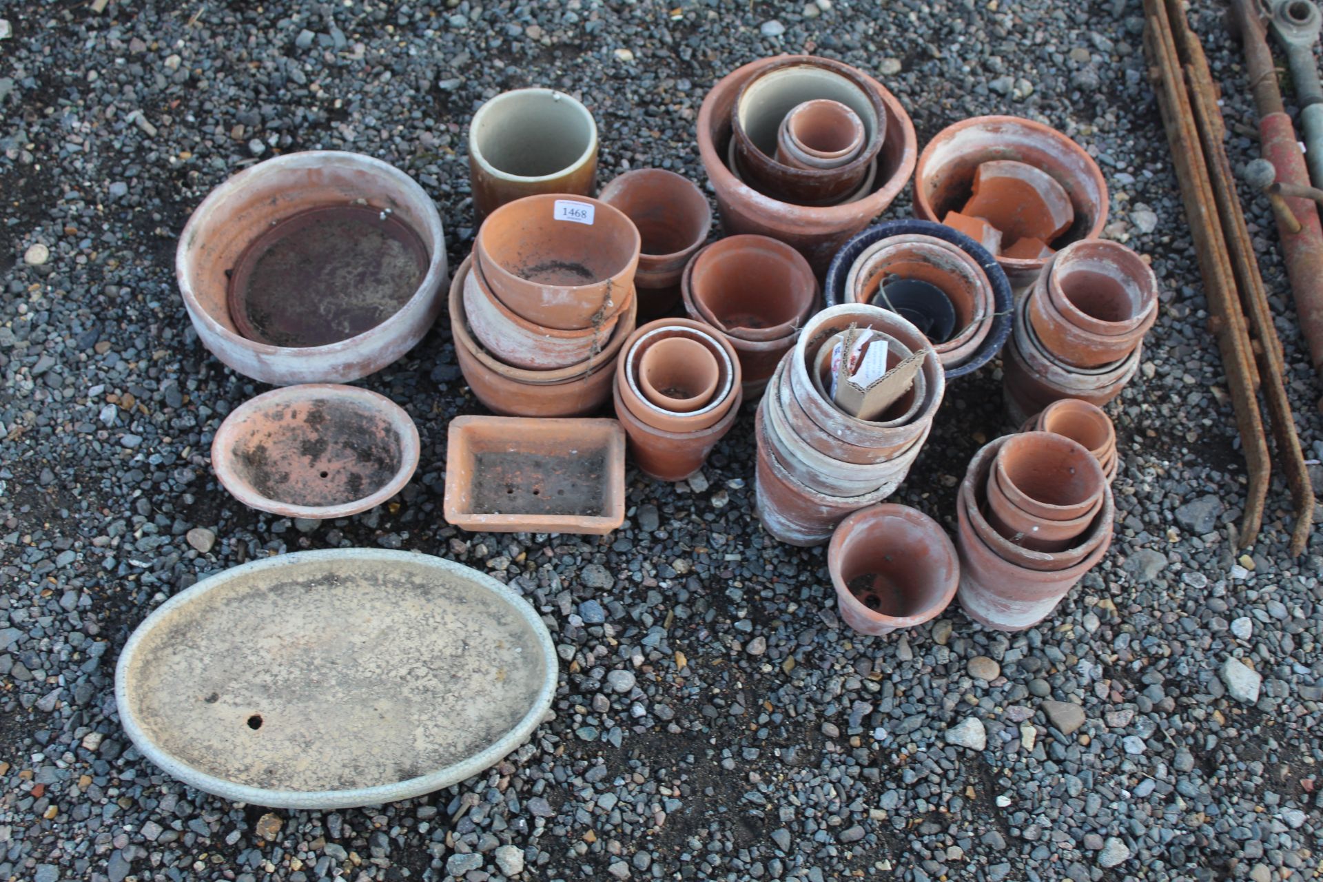 A quantity of various sized terracotta and other p