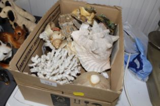 A box of seashells