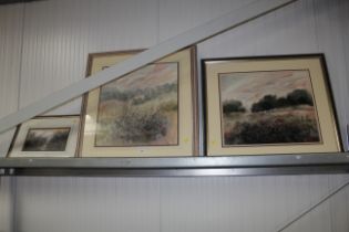 J Rogers, three framed studies depicting flowers