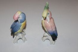Two Carl Ens cockatoos, one AF
