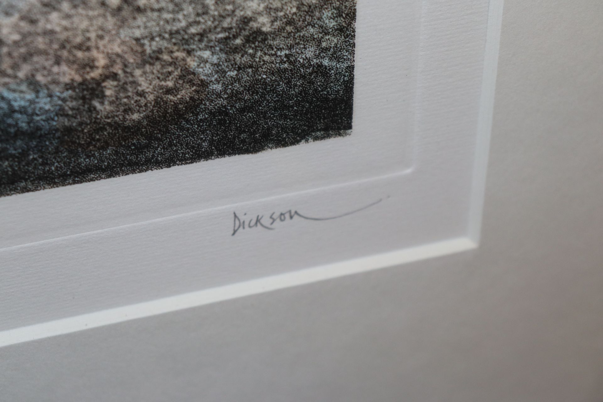 Dixon, pencil signed limited edition print, "Petal - Image 3 of 3
