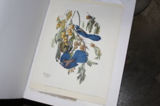 A folio including works by David Green, Reginald M