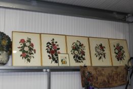 A set of five coloured botanical prints of roses a