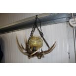 An antler decorated pendent ceiling light