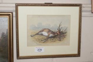 19th Century school, study of a dead stag, waterco