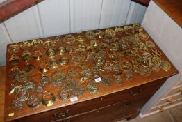 A large collection of various horse brasses
